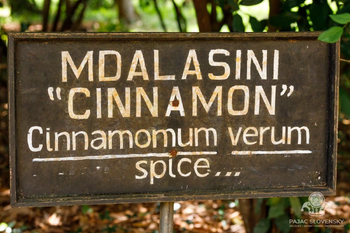 Hand-painted sign for cinnamon — mdalasini