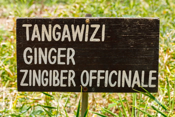 Hand-painted sign for ginger — tangawizi