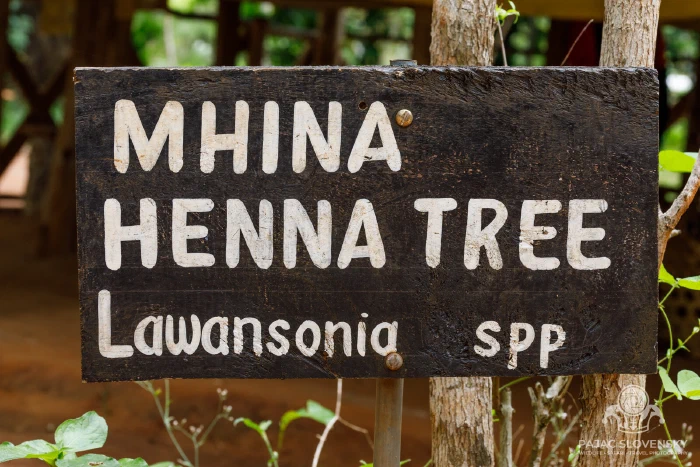 Hand-painted sign for the henna tree — mhina