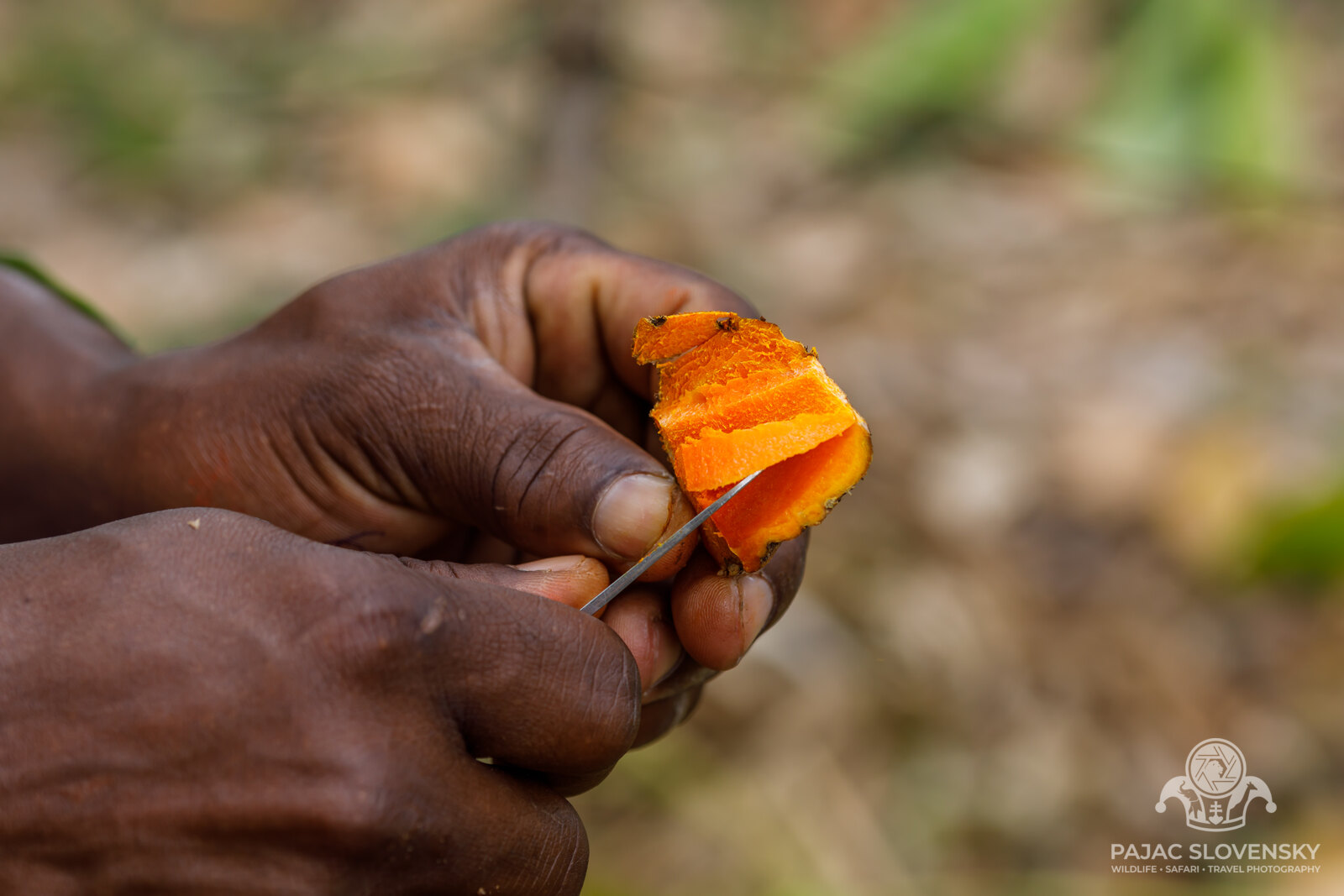 Turmeric staining the guide's fingertips orange